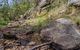 Mountain Arm Campground - thumb 1