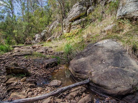 Mountain Arm Campground - Accommodation Mermaid Beach 1