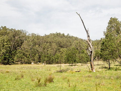 Mountain Arm Campground - Accommodation Mermaid Beach 2
