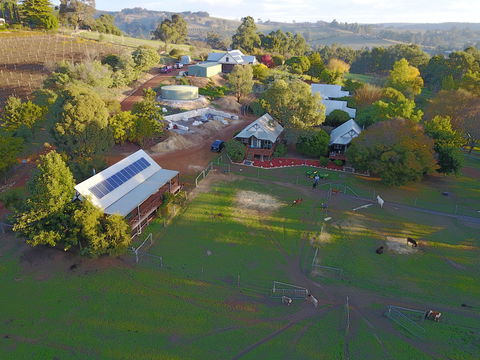 Sunnyhurst Chalets Farmstay - Accommodation Mermaid Beach 0