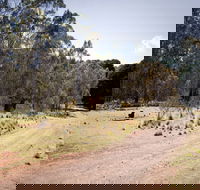The Pines campground - Accommodation Mermaid Beach