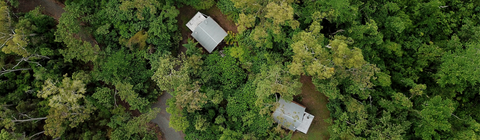 Rainforest Ranch - Accommodation Mermaid Beach 0