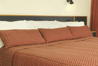 Margarets Forest Holiday Apartments - Accommodation Mermaid Beach