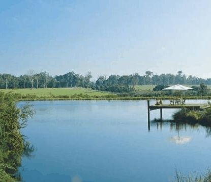 Forest Rise Eco Retreat - Accommodation Mermaid Beach