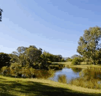 BIG4 Peppermint Caravan Park - Accommodation Mermaid Beach