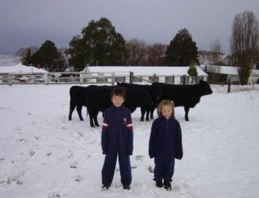 San Michele Resort - Accommodation Mermaid Beach 4