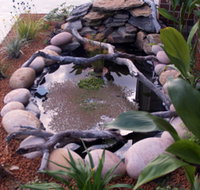 Equal Balance Bed and Breakfast - Accommodation Mermaid Beach