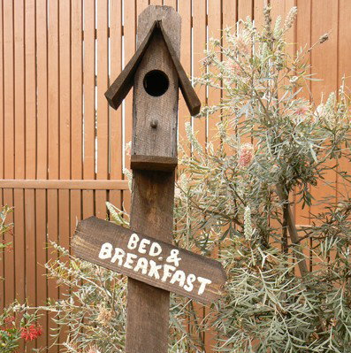 Ashby NSW Accommodation Mermaid Beach