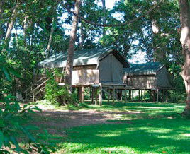 Lions Den Hotel - Accommodation Mermaid Beach 3