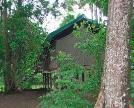 Lions Den Hotel - Accommodation Mermaid Beach 4