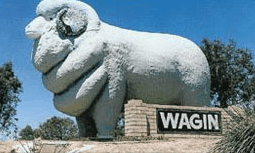 Wagin Motel - Accommodation Mermaid Beach