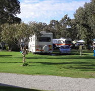 Pinjarra Caravan Park - Accommodation Mermaid Beach