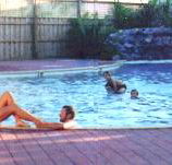 Shark Bay Caravan Park - Accommodation Mermaid Beach