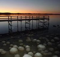 Lake Clifton Caravan Park - Accommodation Mermaid Beach