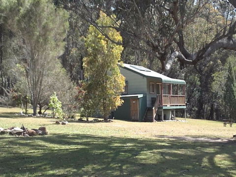 Bhundoo Bush Cottages - Accommodation Mermaid Beach 2