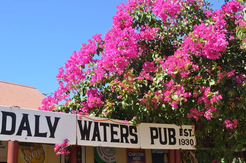 Daly Waters Historic Pub - Accommodation Mermaid Beach 0