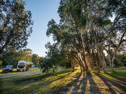 Delicate Campground - Accommodation Mermaid Beach 0