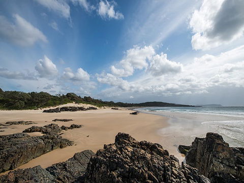 Delicate Campground - Accommodation Mermaid Beach 1