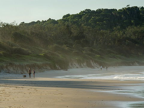 Delicate Campground - Accommodation Mermaid Beach 2