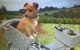 Farm Accommodation - thumb 1