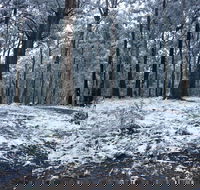 High Peaks Cottages - Accommodation Mermaid Beach