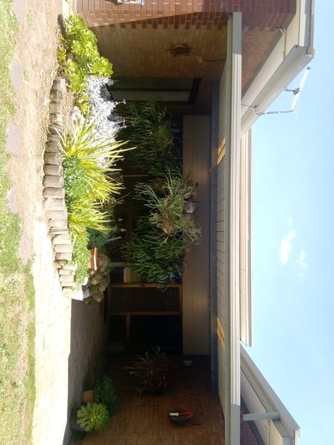 Hilltop Escape B&B - Accommodation Mermaid Beach 0