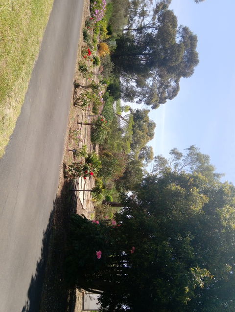 Hilltop Escape B&B - Accommodation Mermaid Beach 1