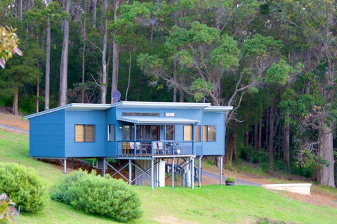 Karrak Reach Forest Retreat - Accommodation Mermaid Beach 0