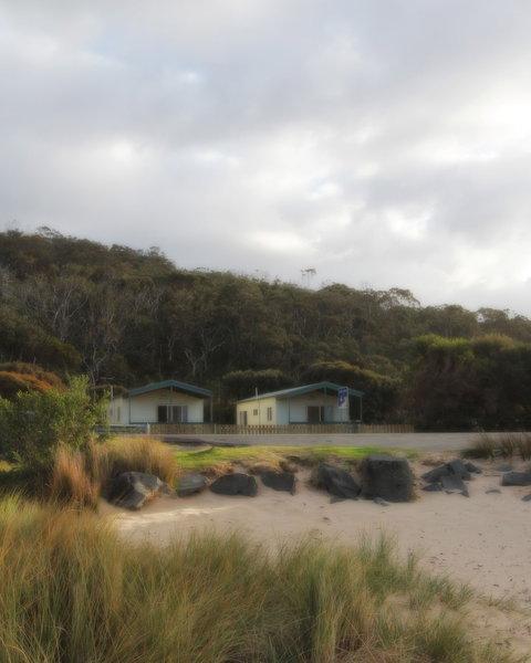Kennett River Holiday Park - Accommodation Mermaid Beach 0
