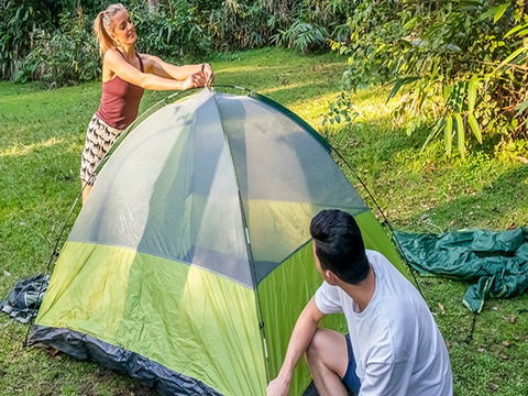 Native Dog Campground - Accommodation Mermaid Beach 0