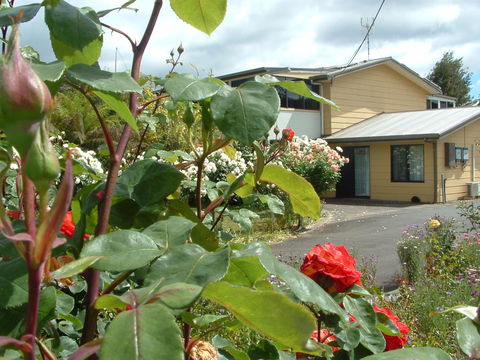 North East Restawhile Bed And Breakfast - Accommodation Mermaid Beach 1