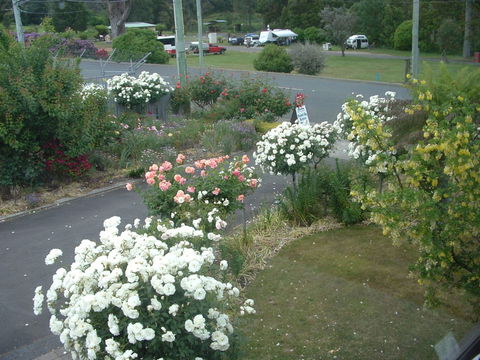 North East Restawhile Bed And Breakfast - Accommodation Mermaid Beach 2