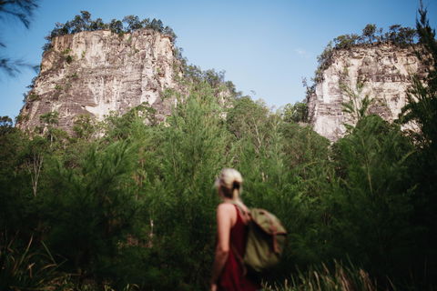 Sandstone Park Carnarvon Gorge - Accommodation Mermaid Beach 0