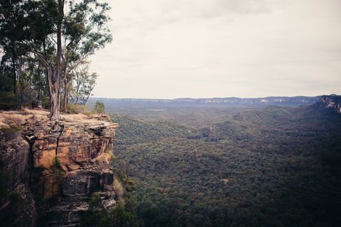 Sandstone Park Carnarvon Gorge - Accommodation Mermaid Beach 1