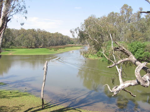 The Shanty Waterside Cottages - Accommodation Mermaid Beach 0