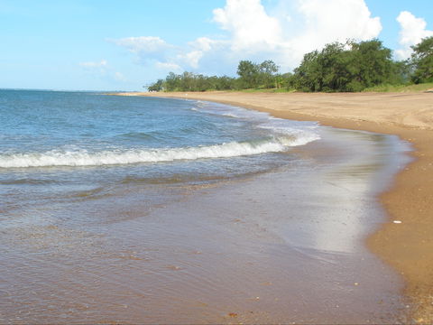 Wagait Beach Holiday Houses - Accommodation Mermaid Beach 0
