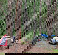 Wallingat River campground - Accommodation Mermaid Beach