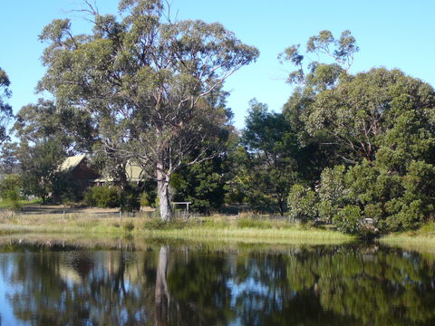 Wind Song Bed And Breakfast - Accommodation Mermaid Beach 2