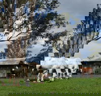 Woodenbong B and B - Accommodation Mermaid Beach