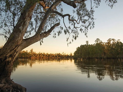 Woperana Campground - Accommodation Mermaid Beach 0
