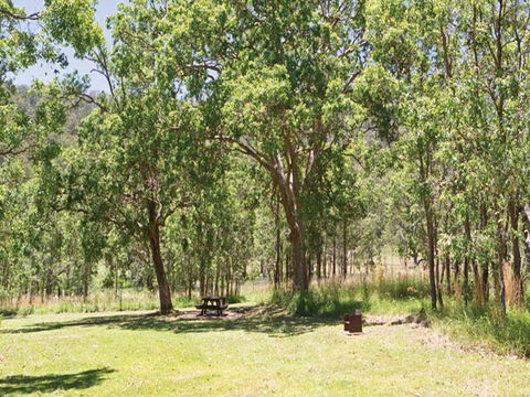Youdales Hut Campground And Picnic Area - Accommodation Mermaid Beach 0