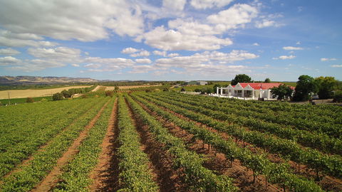 1837 Barossa Luxury Vineyard Cottages - Accommodation Mermaid Beach 0