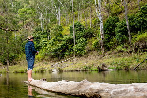 Bass Lodge - Accommodation Mermaid Beach 0