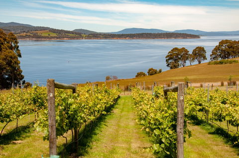 Beaupre Farm - Accommodation Mermaid Beach 0