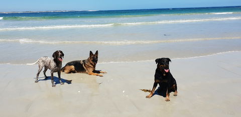 BIG4 Warrnambool Figtree Holiday Park - Accommodation Mermaid Beach 2