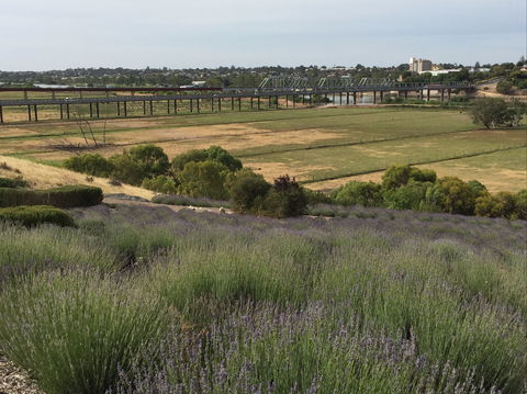 Brayfield Cottage - Accommodation Mermaid Beach 0