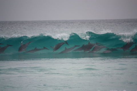 Bremer Bay Caravan Park - Accommodation Mermaid Beach 1
