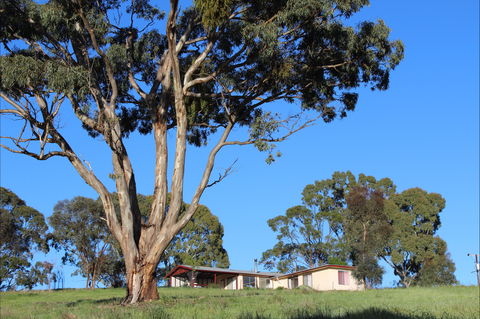Clare View Accommodation - Clare View Cottage - Accommodation Mermaid Beach 2
