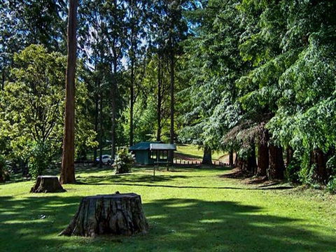 Dingo Tops Campground - Accommodation Mermaid Beach 0