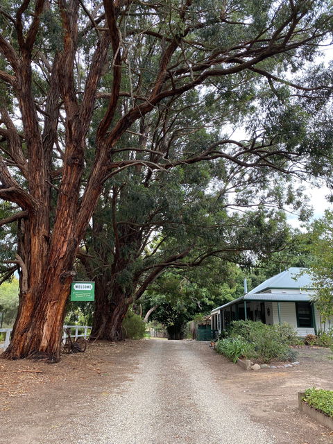 Fernleigh Accommodation - Accommodation Mermaid Beach 0